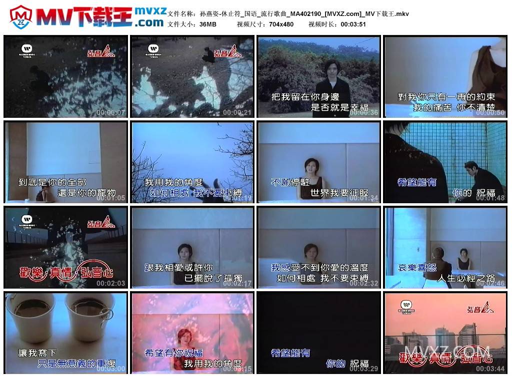 孙燕姿-休止符_国语_流行歌曲_MA402190